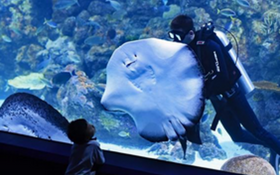 Thumbnail for Our Ocean