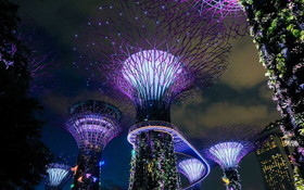Thumbnail for Singapore at Night