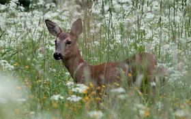 Summer Greetings... and Already Looking Ahead to Autumn 2026 with New Partnerships and Content